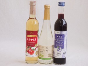 フルーツワイン3本セット(シャインマスカット＆ナイアガラ グレープ＆ブルーベリー アップルワイン) 500ml×3本