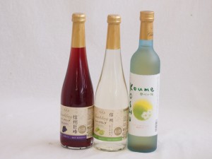 フルーツワイン3本セット(シャインマスカット＆ナイアガラ 信州小梅酒 信州巨峰) 500ml×3本