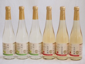 フルーツワイン6本セット(シャインマスカット＆ナイアガラ 信州林檎) 500ml×6本