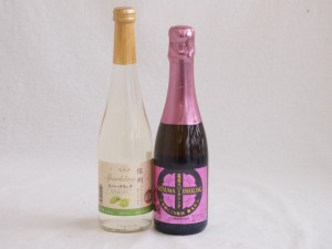 果物リキュール2本セット(シャインマスカット＆ナイアガラ 炭酸にごり梅酒梅太夫) 500ml×1本 375ml×1本