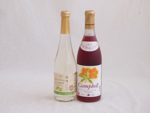 甘味フルーツワイン2本セット(シャインマスカット＆ナイアガラ おたるプレミアムキャンベル赤) 500ml×1本 720ml×1本