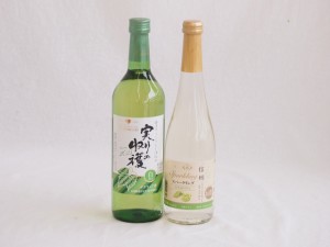 甘味フルーツワイン2本セット(シャインマスカット＆ナイアガラ 実り収穫デラウェア白) 500ml×1本 720ml×1本