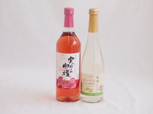 甘味フルーツワイン2本セット(シャインマスカット＆ナイアガラ 実り収穫デラウェアロゼ) 500ml×1本 720ml×1本