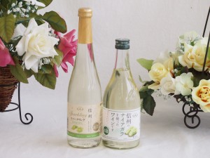 国産果物ワイン2本セット(シャインマスカット＆ナイアガラ 信州のナイアガラ) 500ml×2本