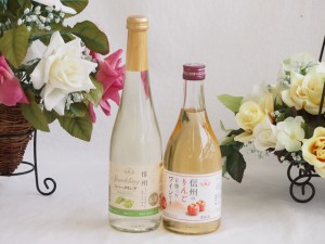 国産果物ワイン2本セット(シャインマスカット＆ナイアガラ 信州のりんご) 500ml×2本