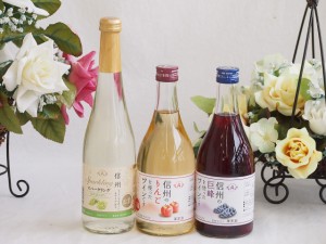 国産果物ワイン3本セット(シャインマスカット＆ナイアガラ 信州のりんご 信州の巨峰) 500ml×3本