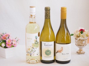 産地別白ワインシャルドネ3本セット(ビーニャ デル デルスール(チリ) レ タンヌ オクシタン(フランス) ラ フェア ヴィウラ(スペイン)) 75