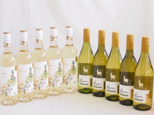 産地別白ワインシャルドネ10本セット(サンタ ヘレナ アルパカ(チリ) ラ フェア ヴィウラ(スペイン)) 750ml×10本