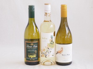 産地別白ワインシャルドネ3本セット(フエンテ フルータ(チリ) ビーニャ デル デルスール(チリ) ラ フェア ヴィウラ(スペイン)) 750ml×3