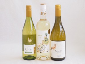 産地別白ワインシャルドネ3本セット(サンタ ヘレナ アルパカ(チリ) ビーニャ デル デルスール(チリ) ラ フェア ヴィウラ(スペイン)) 750m