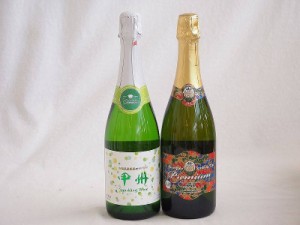 山梨県産ワインと２本セット スパークリング白ワイン勝沼仕込みの甲州スパークリングワイン(やや辛口)11.5°(山梨県)720mlスパークリング