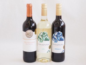 風土溢れるスペインワイン3本セット(金賞受賞ビリャデアドノス  ボバル テンプラニーリョ 赤ミディアムボディ ヴィーニャ・ペーニャ 赤 