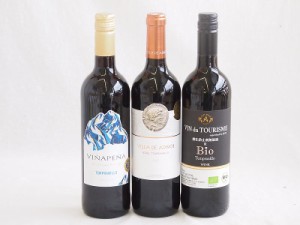 風土溢れるスペインワイン3本セット(金賞受賞ビリャデアドノス  ボバル テンプラニーリョ 赤ミディアムボディ ヴィーニャ・ペーニャ 赤 