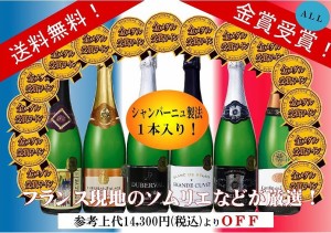 新作記念ワインセット ALL金賞受賞 フランススパークリングワイン６本セット 計750ml×6本