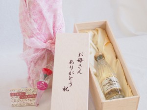 母の日 お母さんありがとう木箱セット プレミアムソーダ 山崎の天然水でつくったソーダ 240ml 母の日カードとカーネイション付