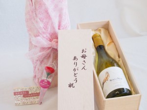 母の日 お母さんありがとう木箱セット ビーニャ・デル・ペドリガル デル・スール シャルドネ (チリ) 750ml 母の日カードとカーネイション