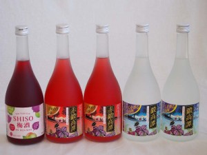 楽しむ鍛高譚5本セット(しそ焼酎鍛高譚20% SHISO梅酒12% 赤鍛高譚20%) 720ml×5本