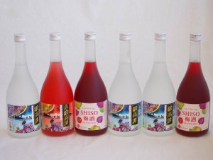 楽しむ鍛高譚6本セット(しそ焼酎鍛高譚20% SHISO梅酒12% 赤鍛高譚20%) 720ml×6本