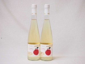 2本セット国産フルーツりんごワイン Cider 青森弘前産りんご使用 やや甘口 丹波ワイン (京都府) 500ml×2本
