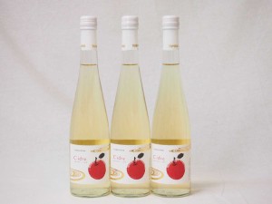 3本セット国産フルーツりんごワイン Cider 青森弘前産りんご使用 やや甘口 丹波ワイン (京都府) 500ml×3本