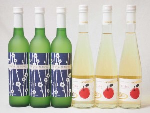 国産フルーツ甘口ワイン6本セット 京都青谷梅 丹波りんごワイン (京都府) 500ml×6本