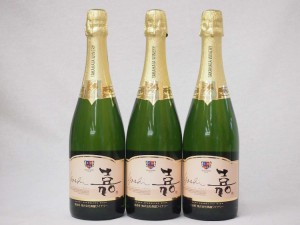 3本セット 高畑 嘉スパークリングスウィート マスカットオレンジ 甘口スパークリングワイン 750ml×3本