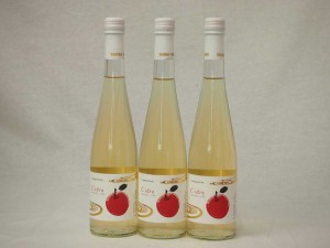 3本セット国産フルーツりんごワイン Cider 青森弘前産りんご使用 やや甘口 丹波ワイン (京都府) 500ml×3本
