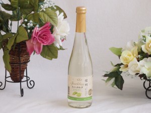 信州特産ぶどう100％シャインマスカット＆ナイアガラスパークリングワイン(長野県) 500ml×1本