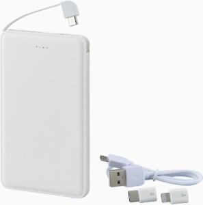 夏の贈り物お中元 モバイルバッテリー5000mAh（iＰhone・USB Type-C用アダプター付） 0.9×6.8×12cm