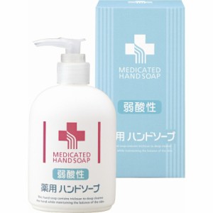 春の贈り物ギフト 弱酸性薬用ハンドソープ 弱酸性薬用ハンドソープ（250ml）×1