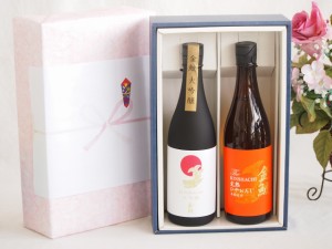 贅沢な日本酒感謝ボックス2本セット(金鯱完熟しやおろし(愛知) 金鯱大吟醸(愛知)) 720ml×2本