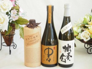 旨味がぎっしり詰まった本格麦焼酎お楽しみ3本セット(常圧粗濾過 独奏会25度 大麦長期 百年の孤独40度 本格麦 中々25度) 720ml×3本