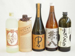 旨味がぎっしり詰まった本格麦焼酎お楽しみ5本セット(熟成麦 夢のひととき25度 りさいたる27度 大麦長期 百年の孤独40度 兼八25度 本格麦