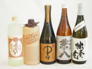 旨味がぎっしり詰まった本格麦焼酎お楽しみ5本セット(熟成麦 夢のひととき25度 常圧粗濾過 独奏会25度 大麦長期 百年の孤独40度 兼八25度