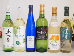 甘口白ワイン6本セット（ナイアガラ500ml×1本 遅摘み白 完熟ナイアガラ からだにやさしい白葡萄酒 甘口白ワイン おたるナイアガラ750ml