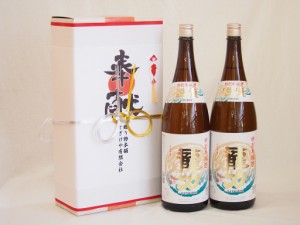 地鎮祭用奉献酒 兵庫県日本酒2本セット(本田酒造 龍力特別本醸造1800ml×2本)デザイン書道家 榮田清峰作一デザイン3番(金銀水引・文化タ