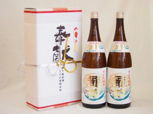 地鎮祭用奉献酒 兵庫県日本酒2本セット(本田酒造 龍力特別本醸造1800ml×2本)デザイン書道家 榮田清峰作一デザイン2番(金銀水引・文化タ