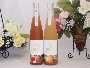 愛知果物キュール2本セット(山田錦吟醸ブレンド グレープフルーツ酒 日本酒ブレンド苺酒) 500ml×2本