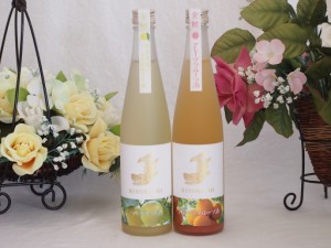 愛知果物キュール2本セット(山田錦吟醸ブレンド グレープフルーツ酒 日本酒ブレンドベルガモットオレンジ) 500ml×2本