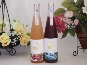 愛知果物キュール2本セット(日本酒ブレンドパッションフルーツ 焼酎ブレンドブルーベリー) 500ml×2本