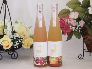 愛知果物キュール2本セット(山田錦吟醸ブレンド グレープフルーツ酒 日本酒ブレンドパッションフルーツ) 500ml×2本