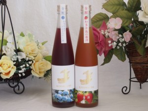 愛知果物キュール2本セット(焼酎ブレンドブルーベリー 日本酒ブレンド苺酒) 500ml×2本