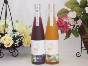 愛知果物キュール2本セット(純米酒ブレンド巨峰 純米吟醸酒仕込梅酒) 500ml×2本