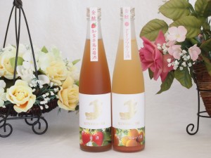 愛知果物キュール2本セット(山田錦吟醸ブレンド グレープフルーツ酒 日本酒ブレンド苺酒) 500ml×2本