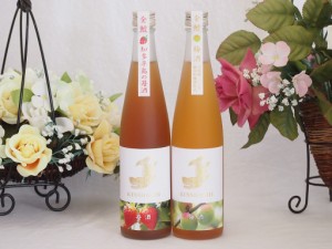 愛知果物キュール2本セット(日本酒ブレンド苺酒 純米吟醸酒仕込梅酒) 500ml×2本