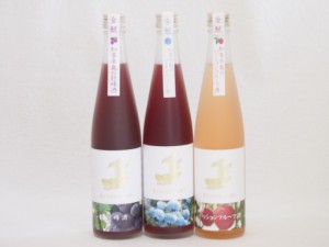 愛知果物キュール3本セット(日本酒ブレンドパッションフルーツ 純米酒ブレンド巨峰 焼酎ブレンドブルーベリー) 500ml×3本