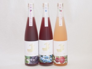 愛知果物キュール3本セット(日本酒ブレンドパッションフルーツ 純米酒ブレンド巨峰 焼酎ブレンドブルーベリー) 500ml×3本