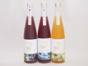 愛知果物キュール3本セット(純米酒ブレンド巨峰 焼酎ブレンドブルーベリー 純米吟醸酒仕込梅酒) 500ml×3本