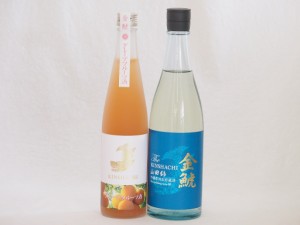 愛知県金鯱梅酒と日本酒2本セット(山田錦吟醸ブレンド グレープフルーツ酒 吟醸原酒生貯山田錦) 500ml×1本 720ml×1本