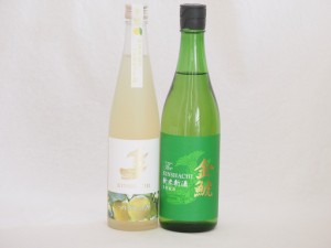 愛知県金鯱梅酒と日本酒2本セット(日本酒ブレンドベルガモットオレンジ 新米新酒生貯) 500ml×1本 720ml×1本